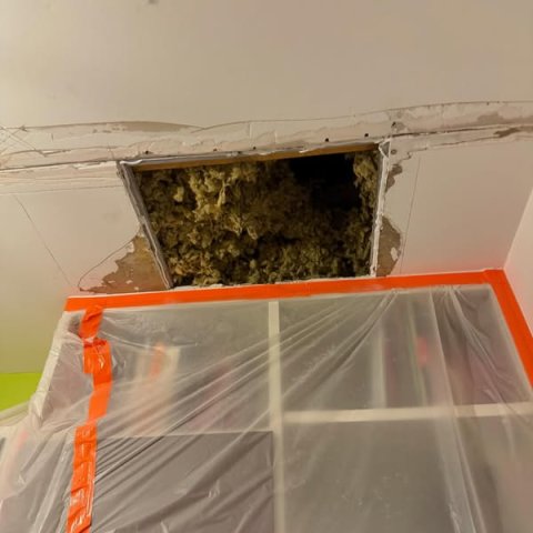Rénovation des murs et du plafond suite à un dégât des eaux à Francheville
